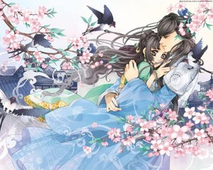 红桃影视 官网